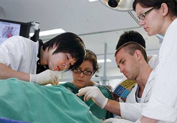 Du học Anh - Chương trình Dự bị ngành Y tế CATS College (A level)